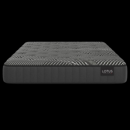 LOTUS SIGNATURE TIGHT TOP LOTUS Sleep Products 